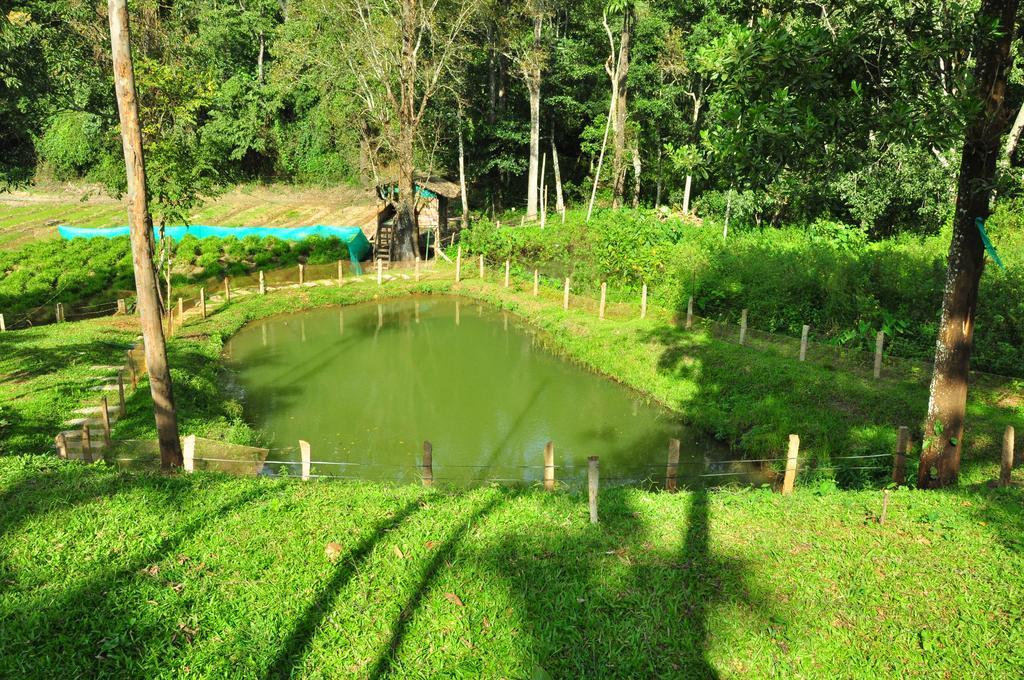 The Woods Resorts Wayanad Sultan Bathery Exterior photo
