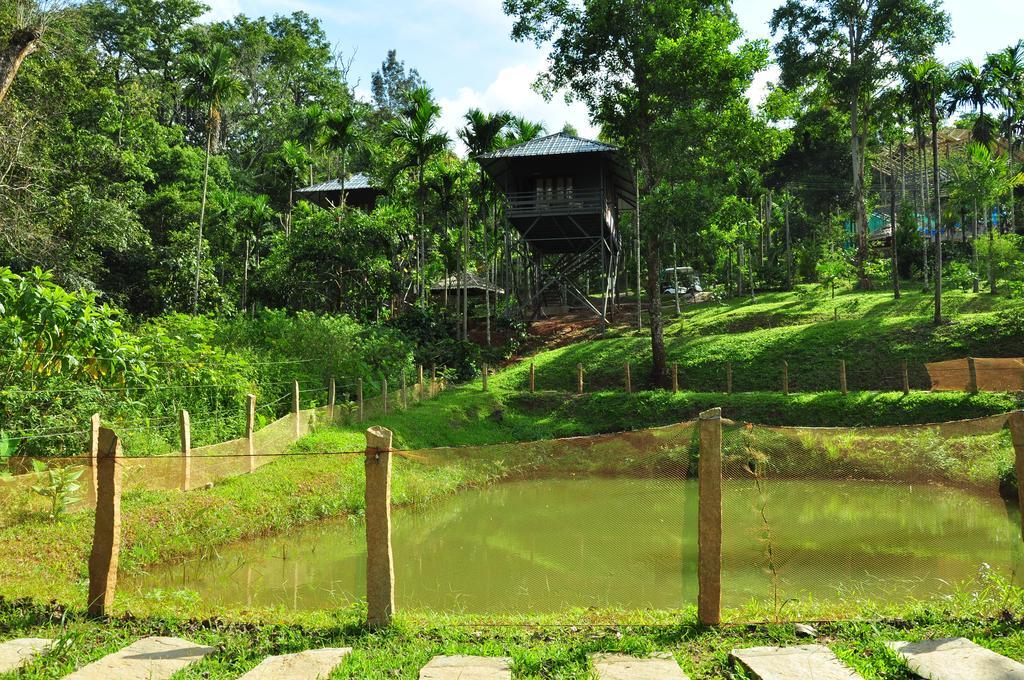 The Woods Resorts Wayanad Sultan Bathery Exterior photo