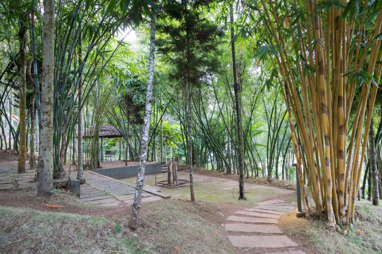 The Woods Resorts Wayanad Sultan Bathery Exterior photo