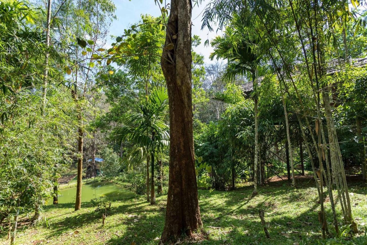 The Woods Resorts Wayanad Sultan Bathery Exterior photo